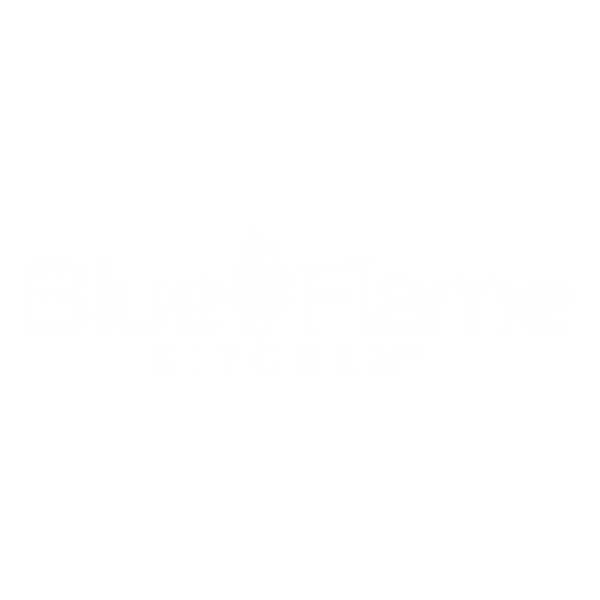 Blue Flame Kitchen